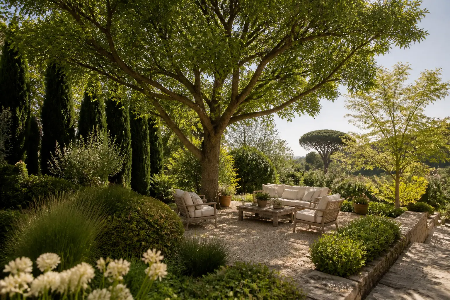 Arbre croissance rapide dans un jardin français, grand feuillage ombrageant une terrasse, haie persistante et arbre léger en fond